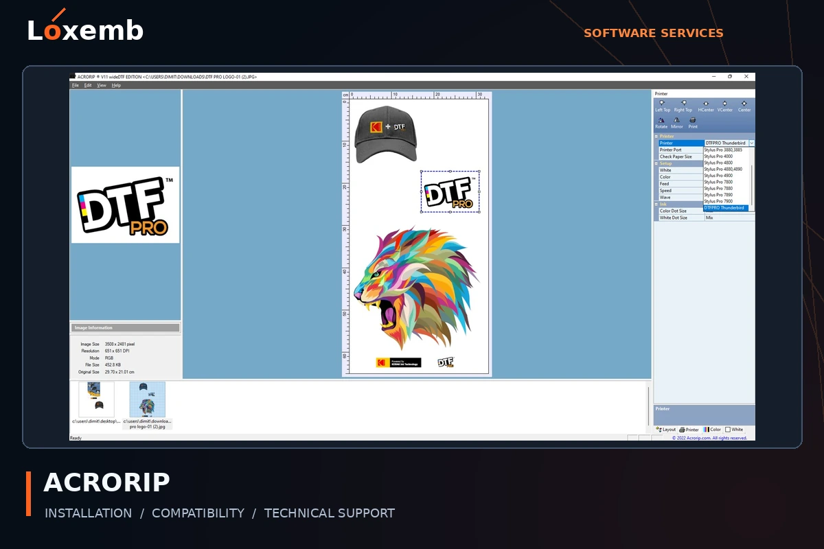 ACRORIP software interface